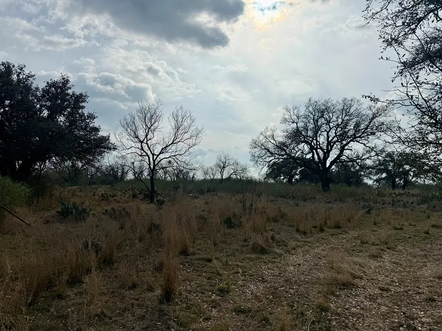 0000 Simonsville Rd, Mason, TX 76856 - #3