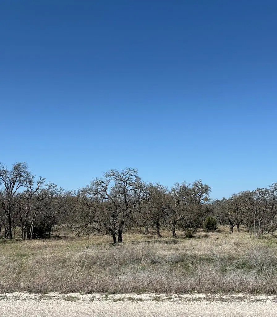 Lot 4 Scott Branch Rd, Harper, TX 78631 - #2