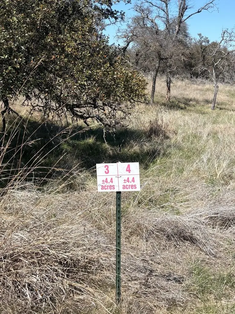 Lot 4 Scott Branch Rd, Harper, TX 78631 - #3