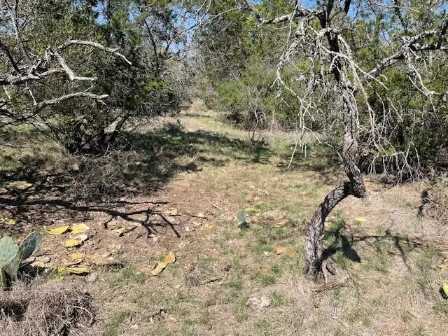 0 Tres Chivos Viejos Rd, Mason, TX 76856 - #3