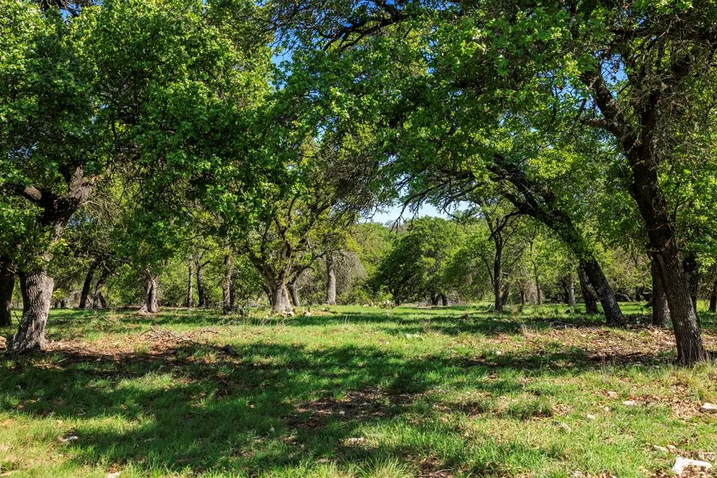 283 Dally Rd, Fredericksburg, TX 78624 - #1
