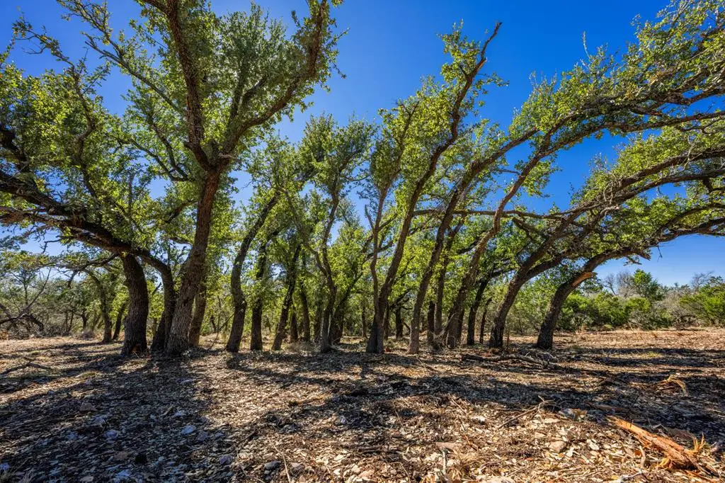 0000 Keese Rd, Fredericksburg, TX 78624 - #1