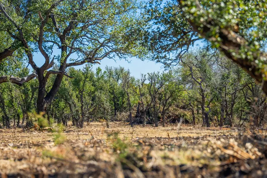 0000 Keese Rd, Fredericksburg, TX 78624 - #2