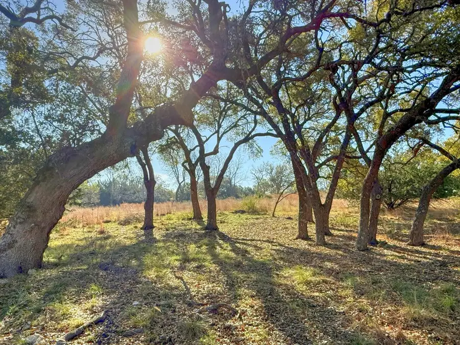 - Premier View Dr, Fredericksburg, TX 78624 - #3