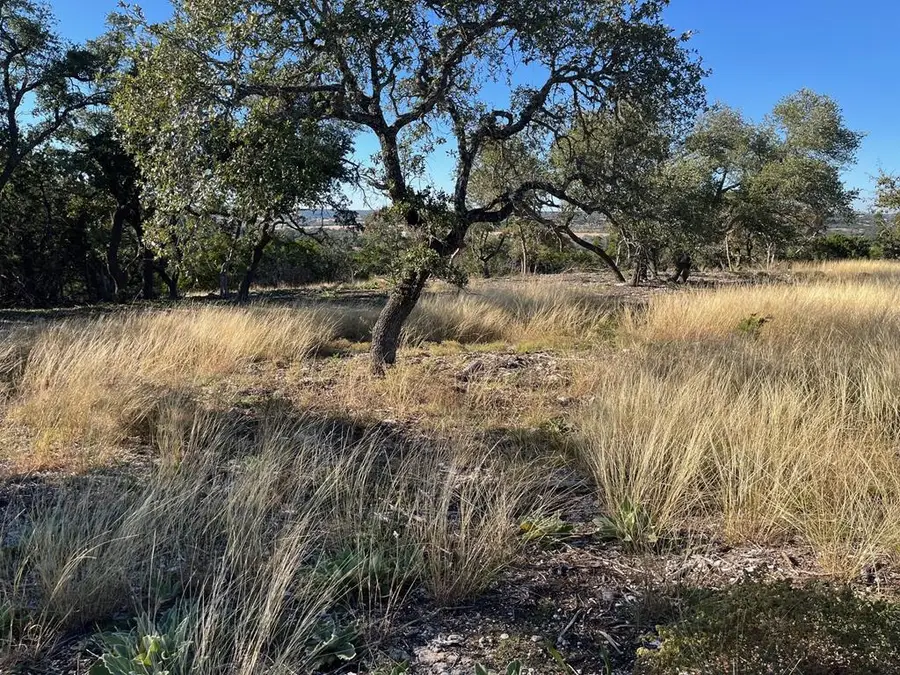 Tract 1 Rare Eagle Dr, Fredericksburg, TX 78624 - #2