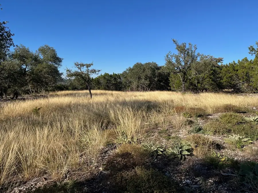 Tract 1 Rare Eagle Dr, Fredericksburg, TX 78624 - #3