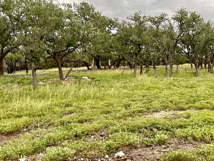 Tract 2 Rare Eagle Dr, Fredericksburg, TX 78624 - #3