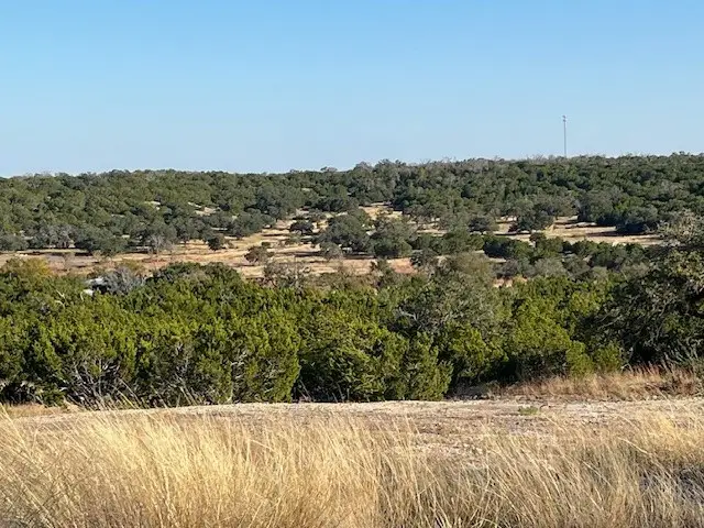 Tract 7 Rare Eagle Dr, Fredericksburg, TX 78624 - #3