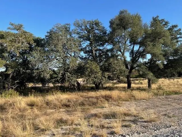 Tract 8 Rare Eagle Dr, Fredericksburg, TX 78624 - #2