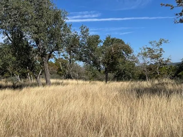 Tract 11 Rare Eagle Dr, Fredericksburg, TX 78624 - #2