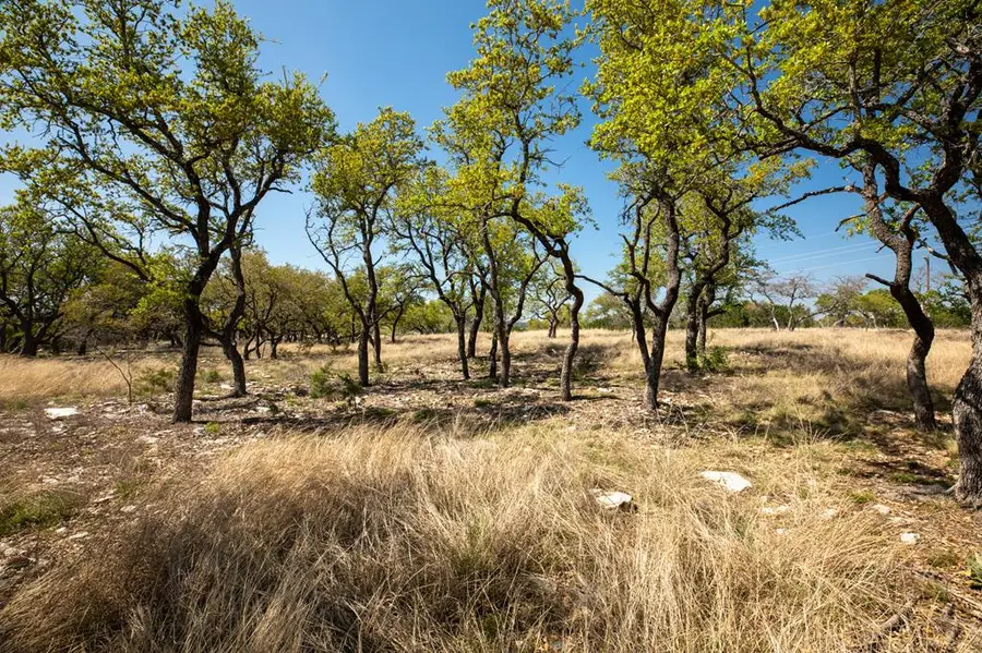 Tract 16 Rare Eagle Dr, Fredericksburg, TX 78624 - #3