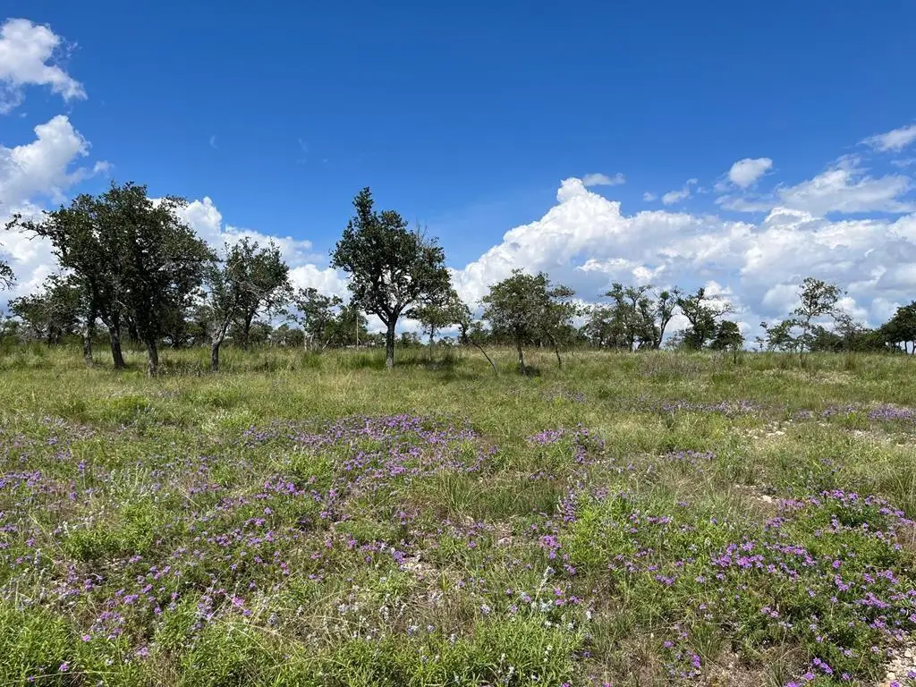 Lot 10 Sweet Wind Ln, Harper, TX 78631 - #1