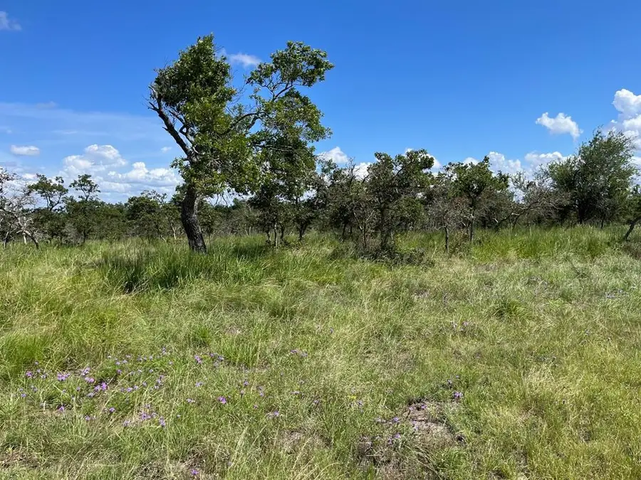 Lot 12 Sweet Wind Ln, Harper, TX 78631 - #2