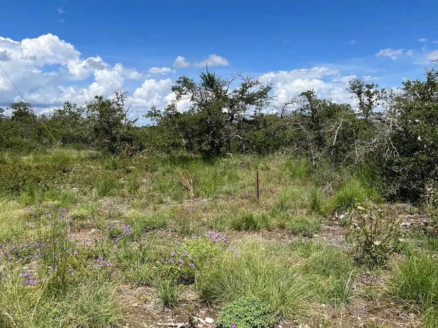 Lot 15 Sweet Wind Ln, Harper, TX 78631 - #3