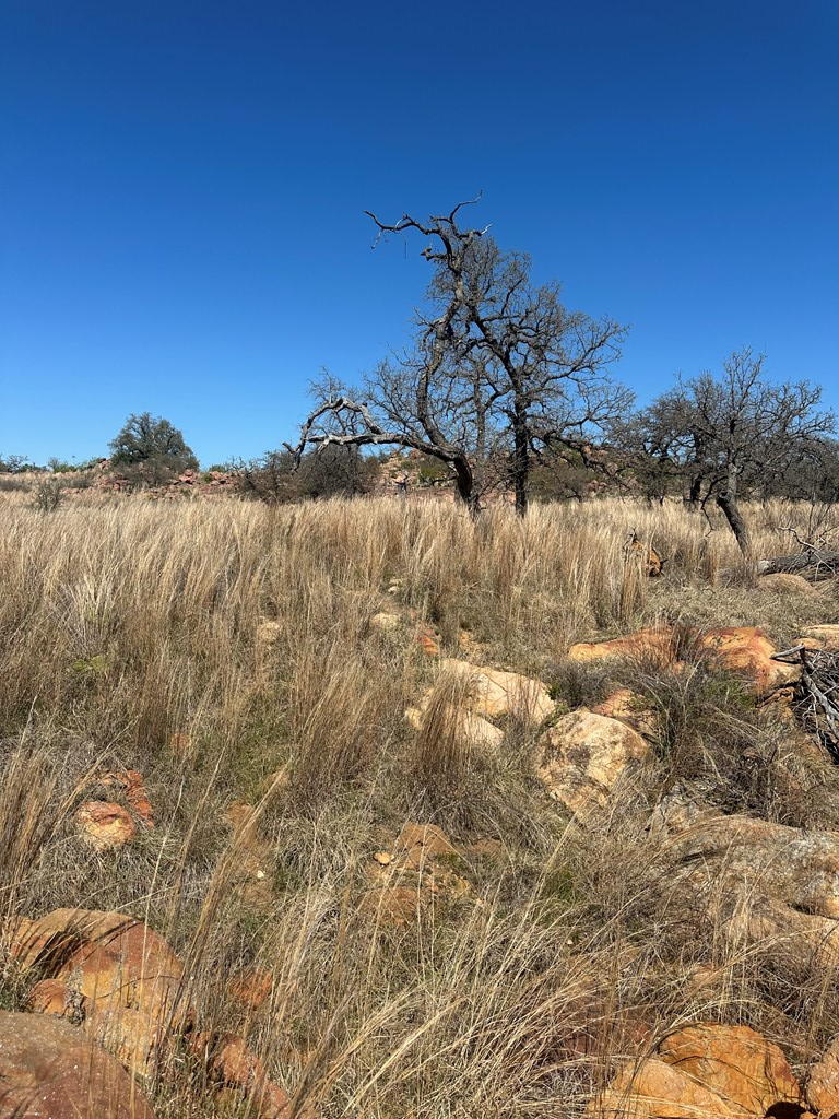 00000 Fly Gap County Road, Mason, TX 76856 - #2