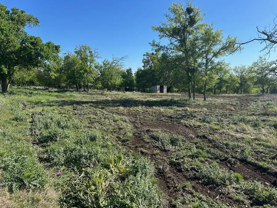 242, 232 Myrtle Ave, Harper, TX 78631 - #2