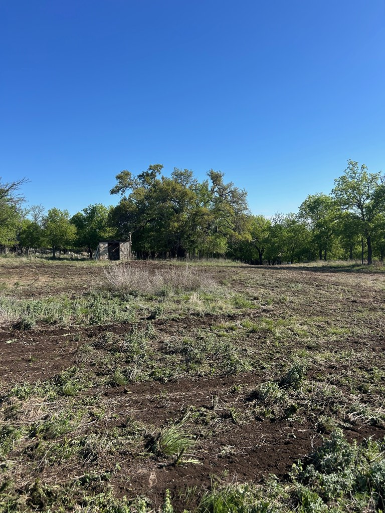 242, 232 Myrtle Ave, Harper, TX 78631 - #3