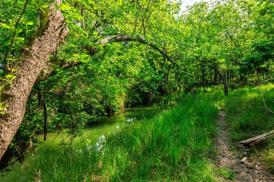 199 Lexington Dr, Fredericksburg, TX 78624 - #3