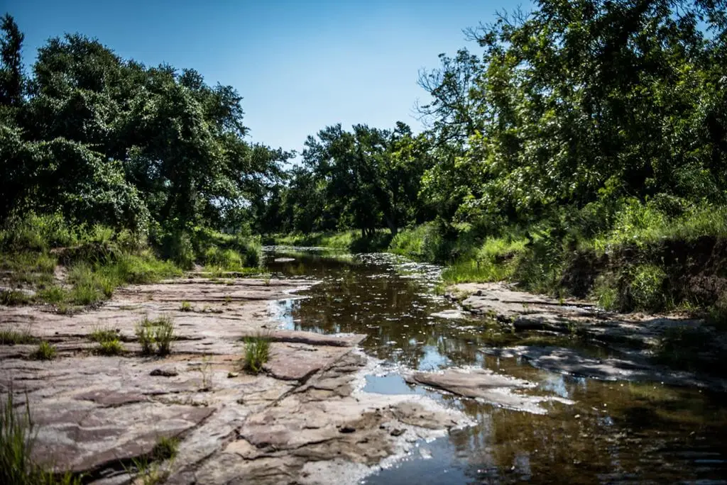 12350 N State Hwy 16, Fredericksburg, TX 78624 - #1