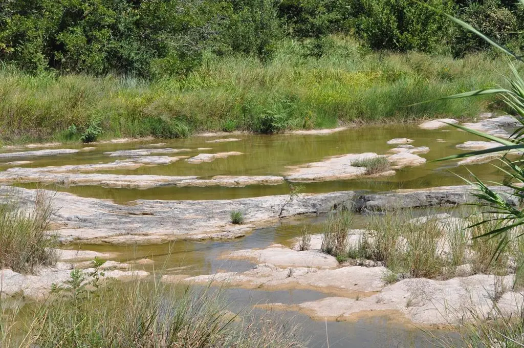 000 Watson Way, Hye, TX 78635 - #1