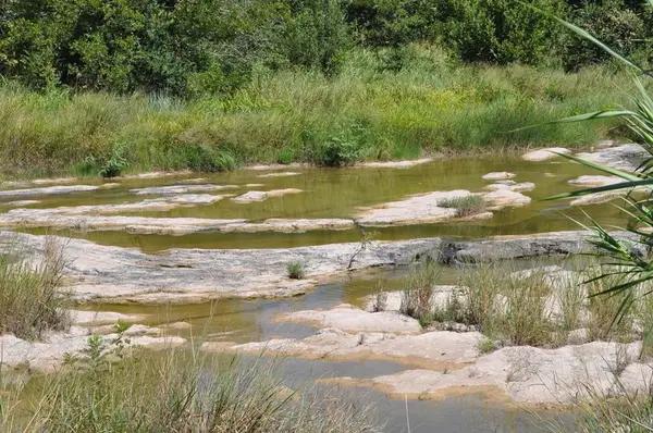 000 Watson Way, Hye, TX 78635