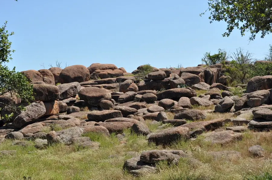 000 Watson Way, Hye, TX 78635 - #2