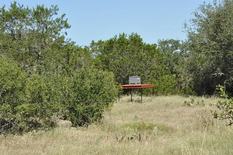 000 Watson Way, Hye, TX 78635 - #3