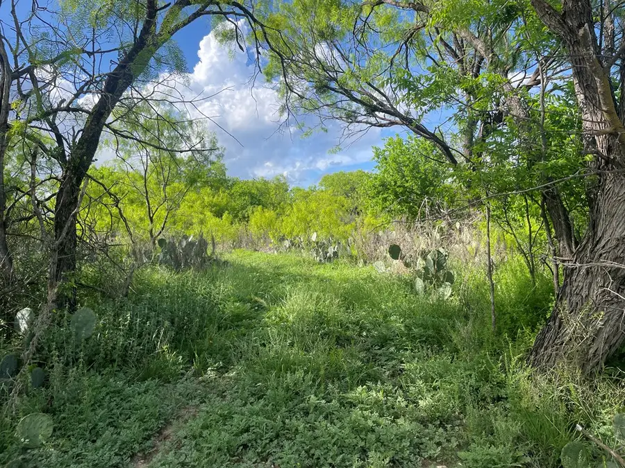 411 Front St, Menard, TX 76859 - #3