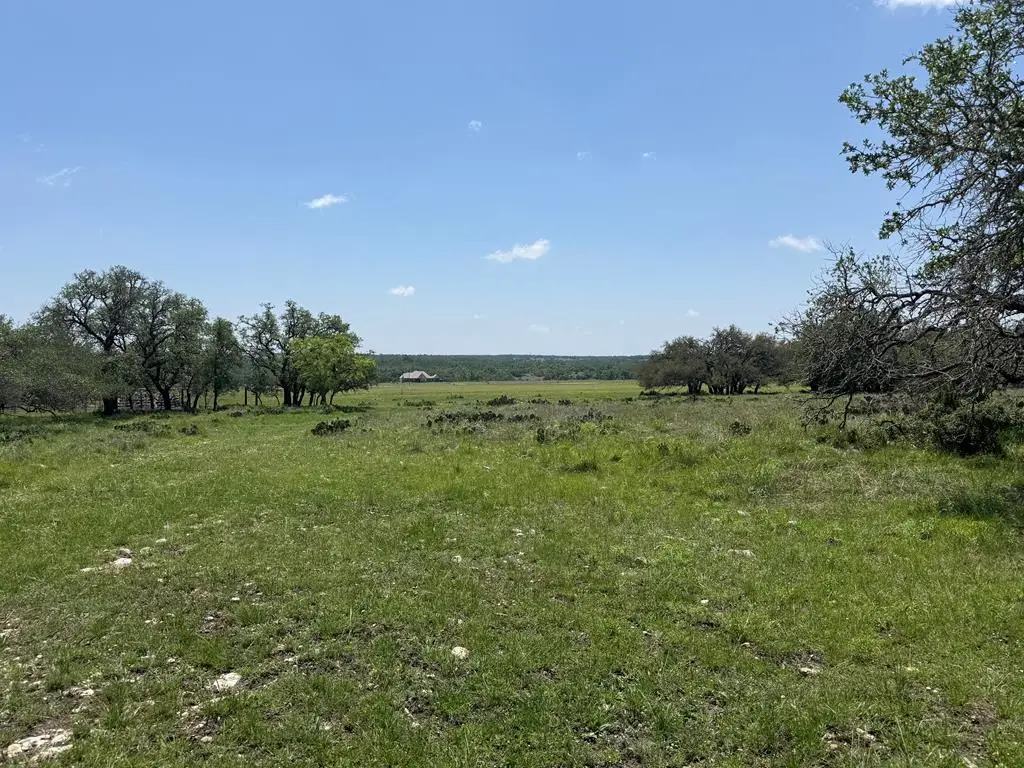 1000 Duderstadt Rd, Harper, TX 78631 - #1