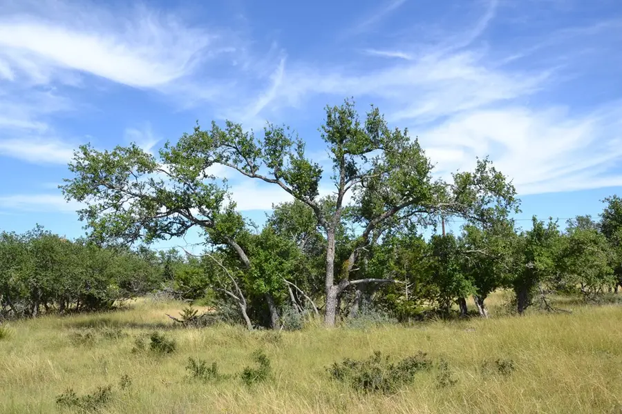 1000 Duderstadt Rd, Harper, TX 78631 - #2