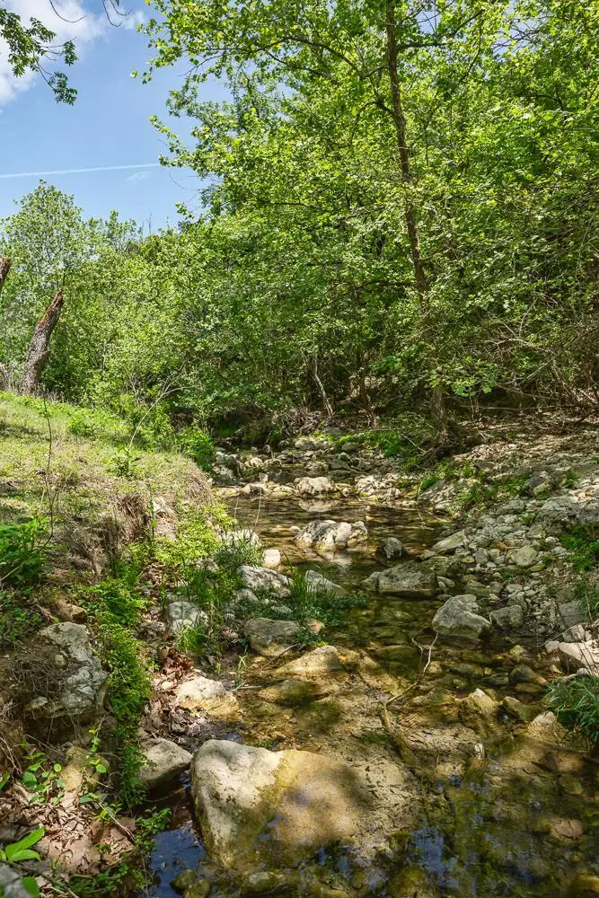 127 El Nopal Dr, Blanco, TX 78606 - #2