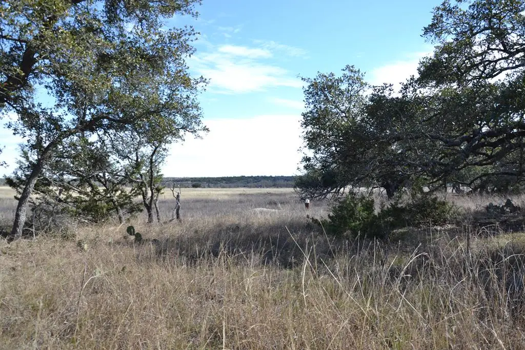 1150 Duderstadt Rd, Harper, TX 78631 - #1