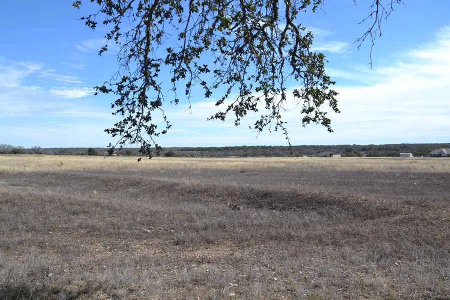 1150 Duderstadt Rd, Harper, TX 78631 - #3