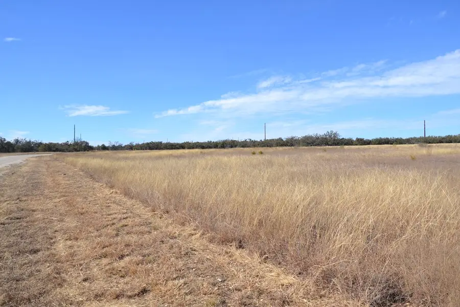 101 Roan Meadows Ln, Harper, TX 78631 - #3