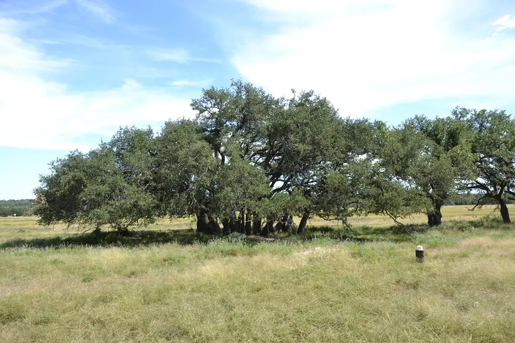 1152 Duderstadt Rd, Harper, TX 78631 - #1