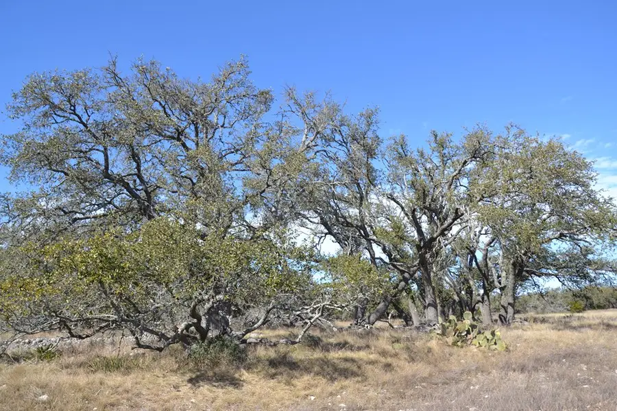 1152 Duderstadt Rd, Harper, TX 78631 - #2