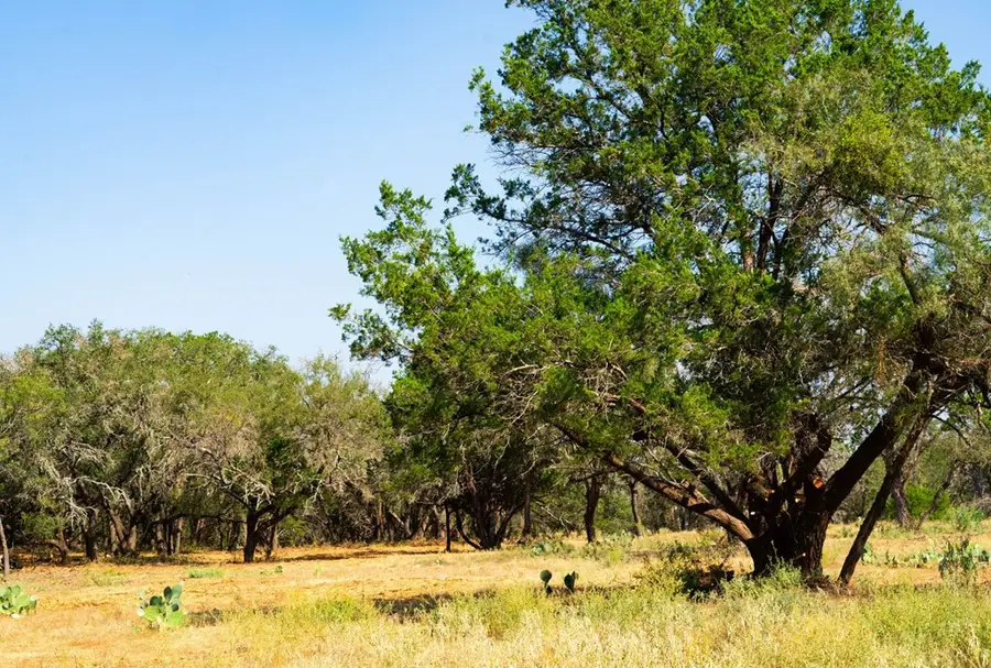 0000 Old Ferry Rd, Spicewood, TX 78669 - #3