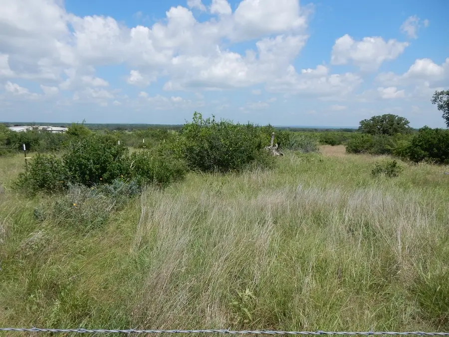 410 Regu Rd, Fredericksburg, TX 78624 - #3