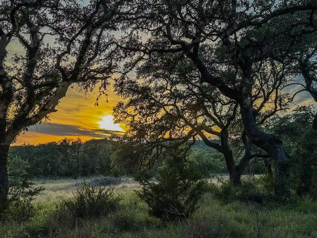 3513 N Us Hwy 281, Blanco, TX 78606 - #1