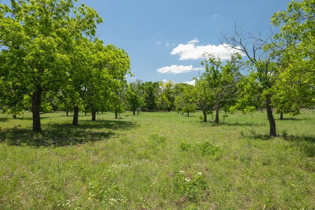 10 Baj Ln, Fredericksburg, TX 78624 - #1