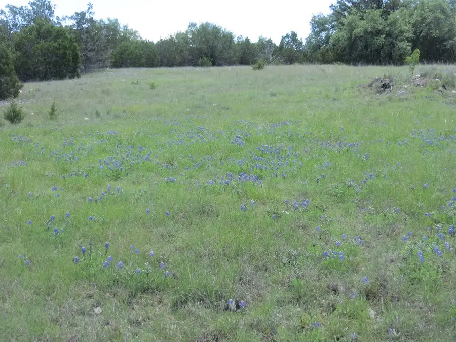 24 W Kc 24, Junction, TX 76849 - #2