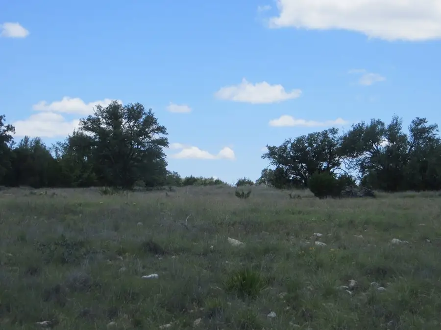 24 W Kc 24, Junction, TX 76849 - #3