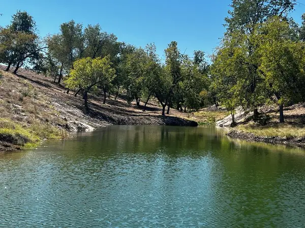 481 Living Water Ranch Rd., Harper, TX 78631