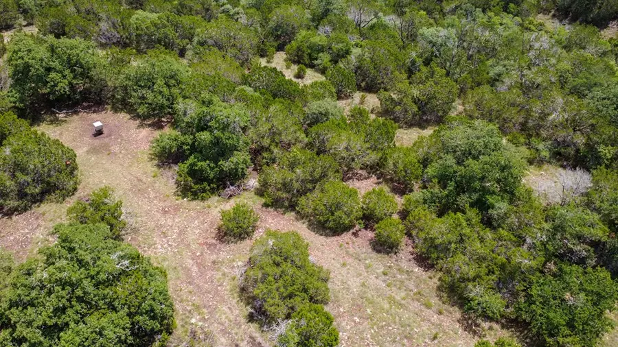 228 Spring Rd, Fredericksburg, TX 78624 - #2