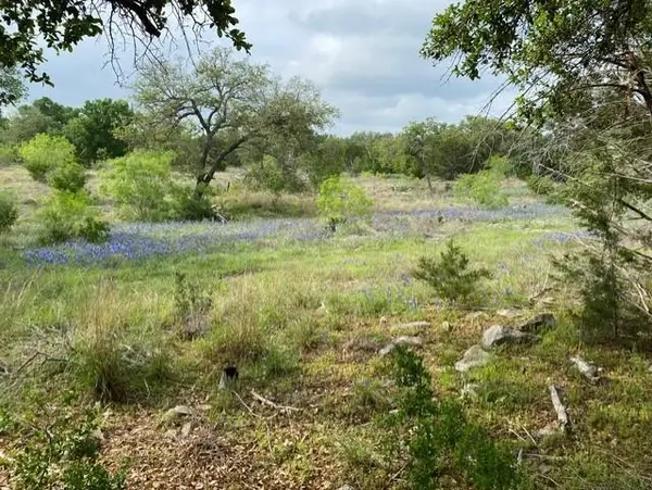 1365 Pedernales Hills Dr, Johnson City, TX 78636