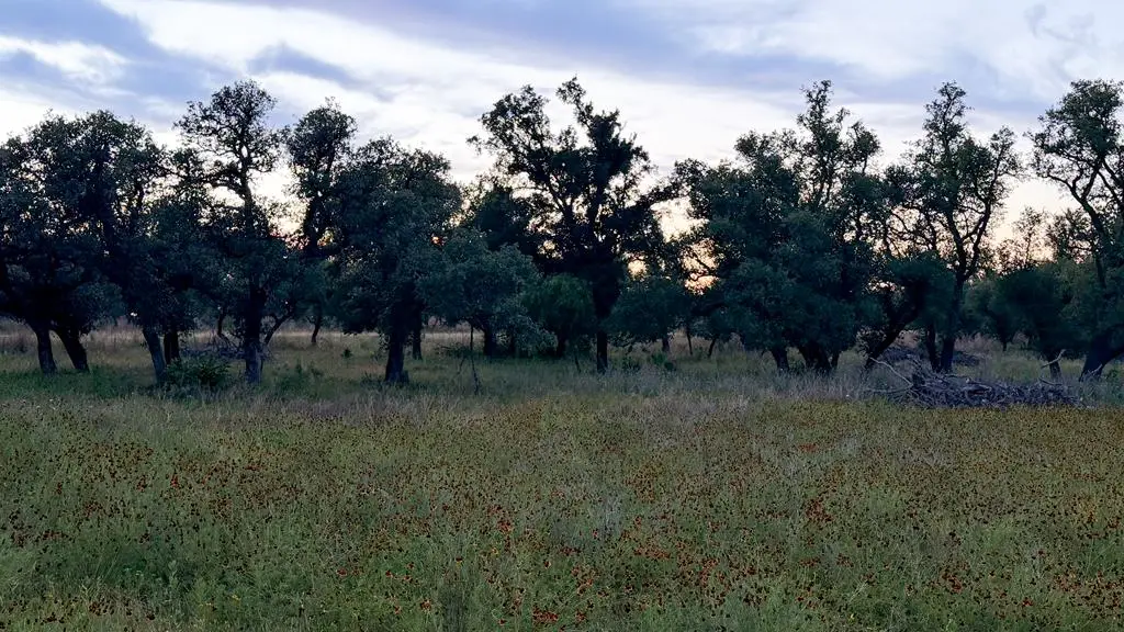 Lot #9 Slate Rock Rd, Willow City, TX 78675 - #1