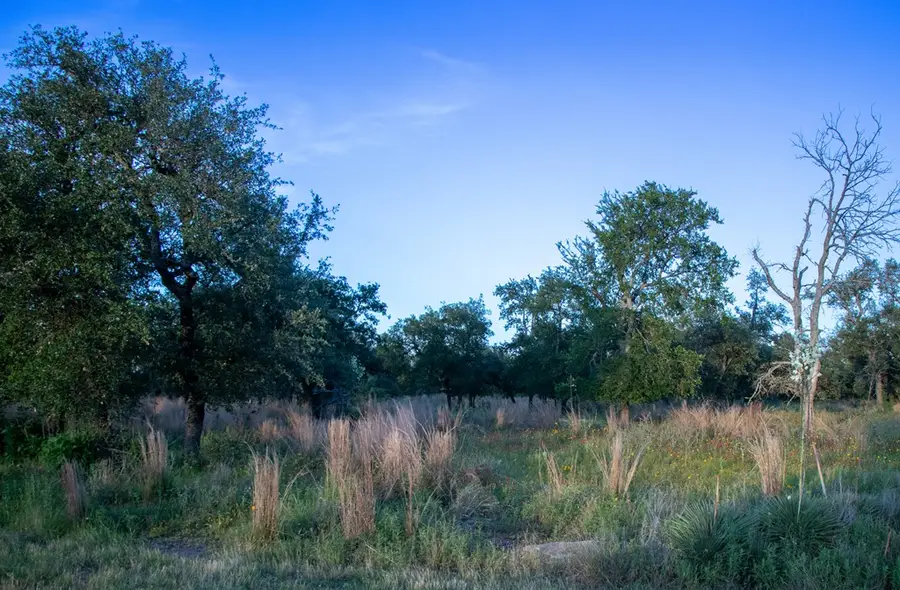 Lot #9 Slate Rock Rd, Willow City, TX 78675 - #2