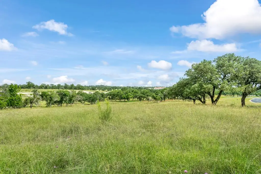120 Crepe Myrtle Ct, Fredericksburg, TX 78624 - #1