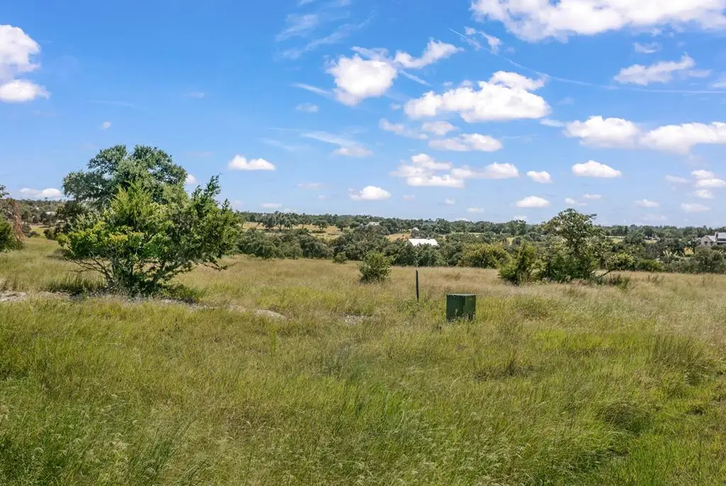 360 Inspiration Loop, Fredericksburg, TX 78624 - #1