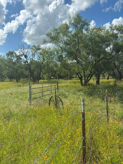 0 Oak Ct St, Fredonia, TX 76842 - #3